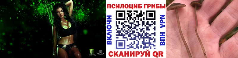 купить наркоту  Меленки  МЕГА сайт  Галлюциногенные грибы Psilocybine cubensis 